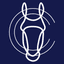 Horses & Competitions
