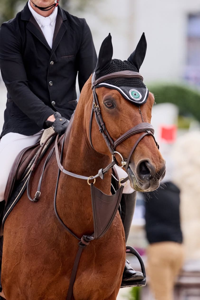 MEDITERRANEAN EQUESTRIAN TOUR - AUTUMN MET II 2026