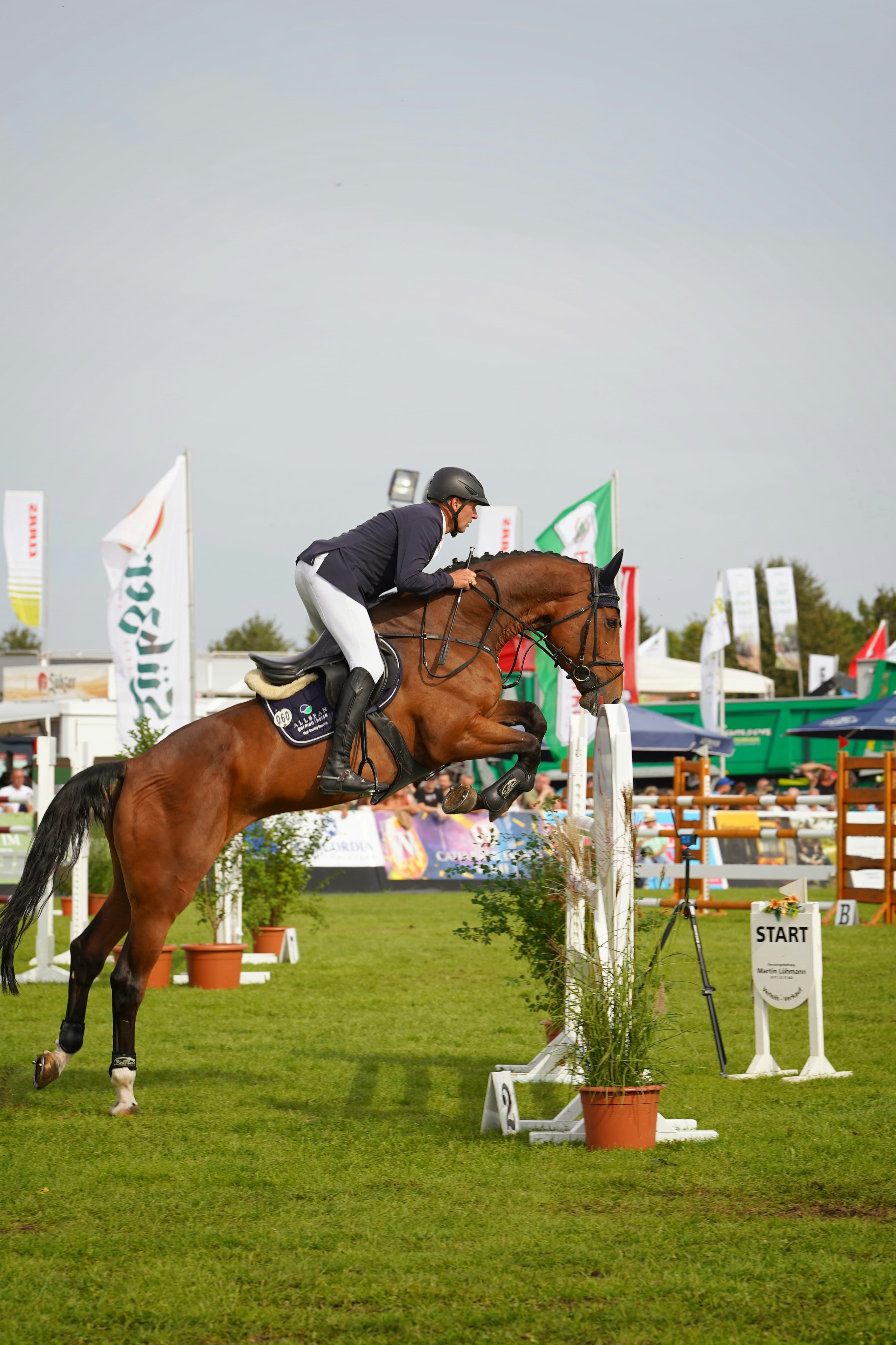 Hennebont Jumping du Blavet