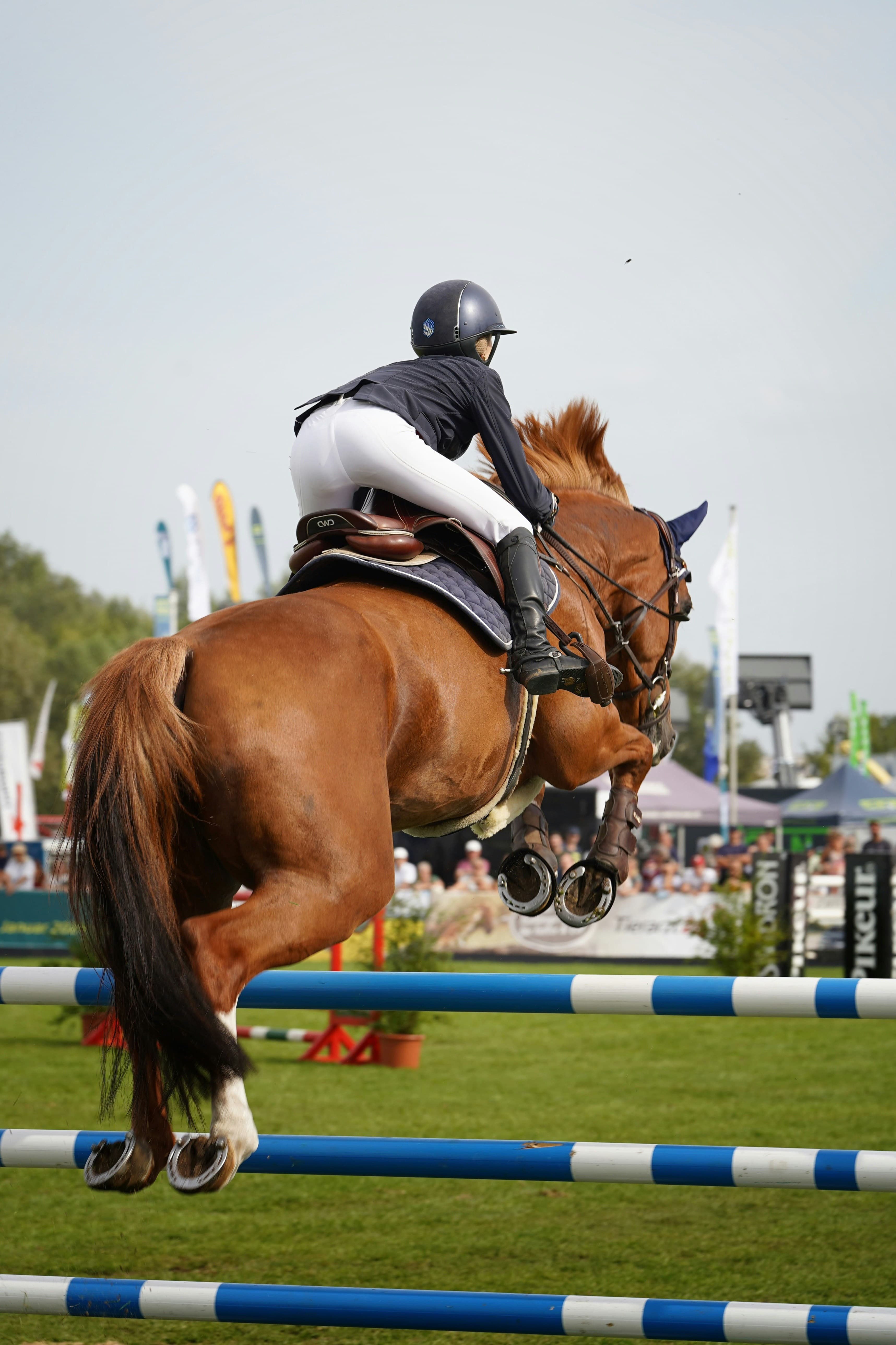 Stade Equestre de Compiegne